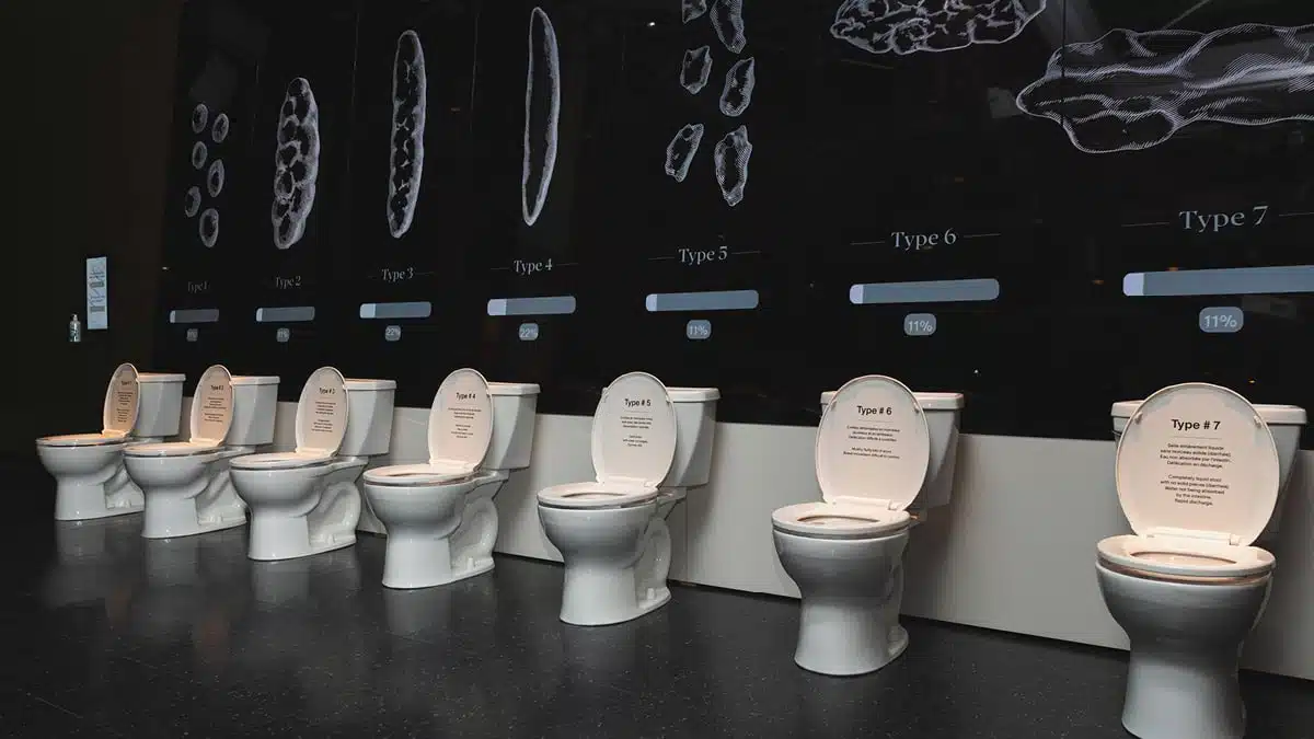 Sept toilettes blanches avec le couvercle ouvert. En haut les dessins de crottes illustrant l'échelle de Bristol.