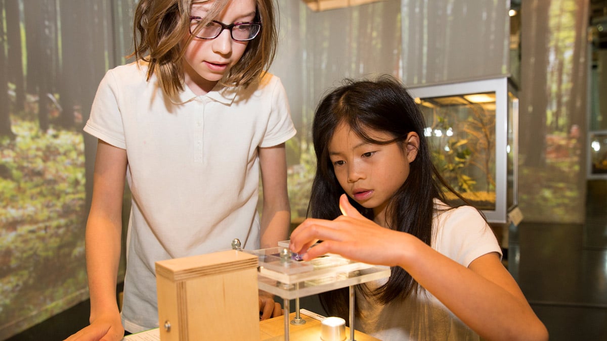 Deux enfants observe un microscope réalisé à l'aide d'un téléphone.