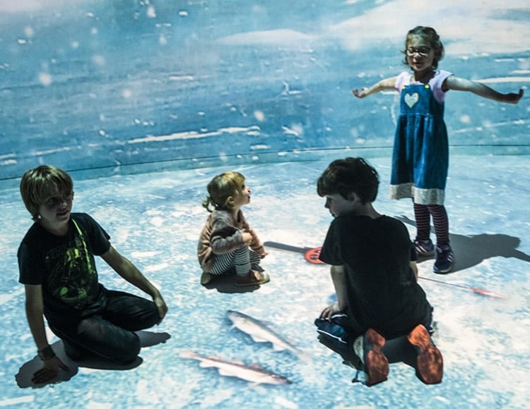 Quatre jeunes enfants s'amuse à essayer d'attraper la neige et les poissons sur un lac virtuel.