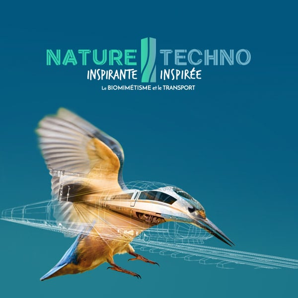 Signature visuelle de l'exposition Nature inspirante, techno inspirée où le bec d'un oiseau se transforme en nez de locomotive,
