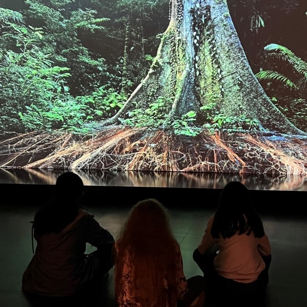 Trois jeunes de dos, assis par terre dans une salle sombre en face de la projection d'une forêt