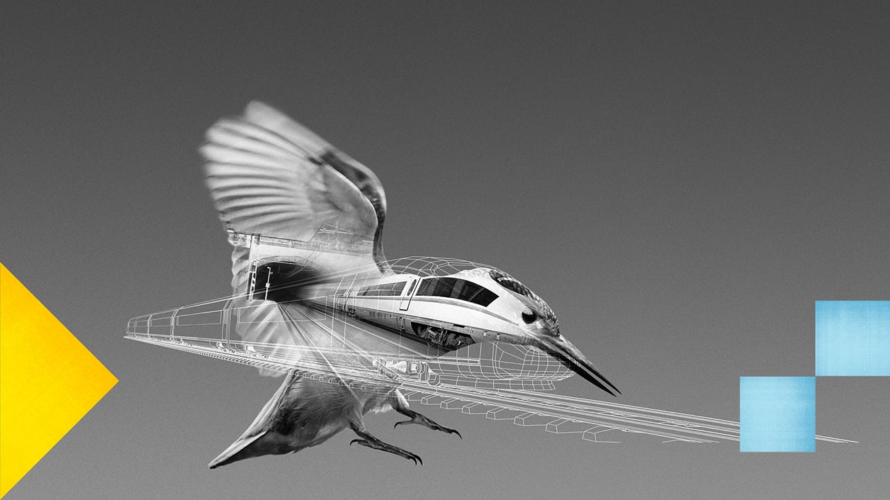 Montage graphique d'un oiseau et d'un TGV qui démontre que la technologie s'est inspiré de cet oiseau.