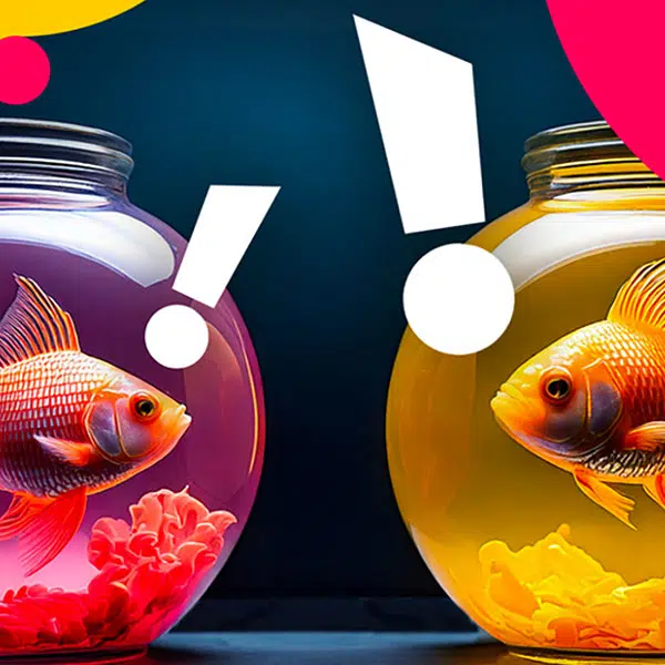 Les poissons rouges | Chacun dans son bocal