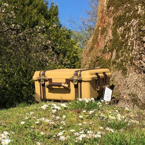une valise couchée au pied d'un arbre dans un champ