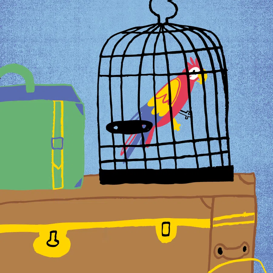 Illustration qui représente un perroquet ara rouge dans une cage. La cage est déposée sur une malle de voyage brune. à la droite de la cage, il y a une valise verte posée sur la malle aussi. Le fond de l'image est bleu.