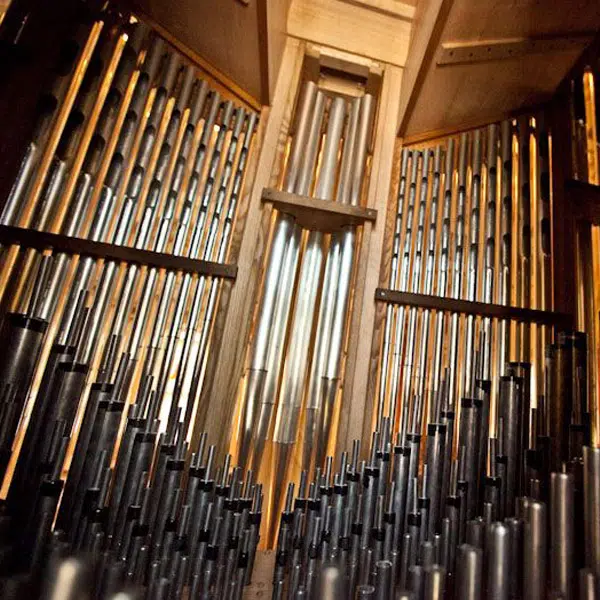 photo qui montre un détails des tuyaux d'un orgue